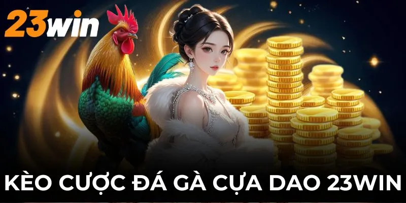 Thông tin về các cửa cược chọi kê phổ biến