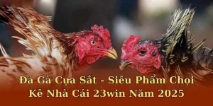 đá gà cựa sắt tại 23win