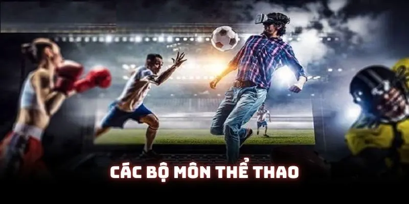 Các bộ môn thể thao được yêu thích ở nhà cái cá cược 23win