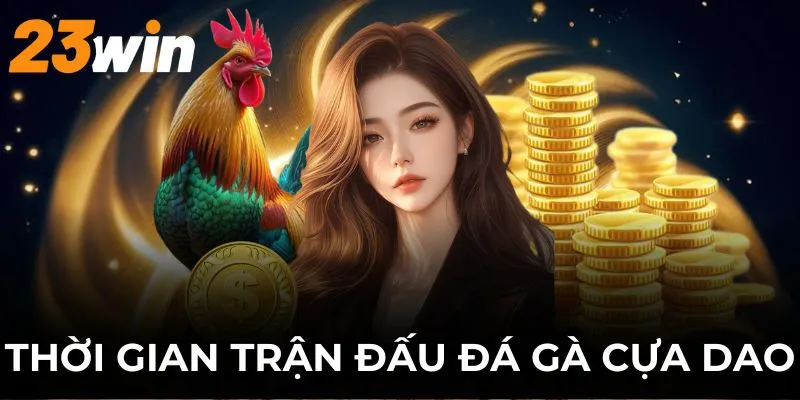 Cập nhật quy định về thời gian thi đấu chọi kê cựa dao